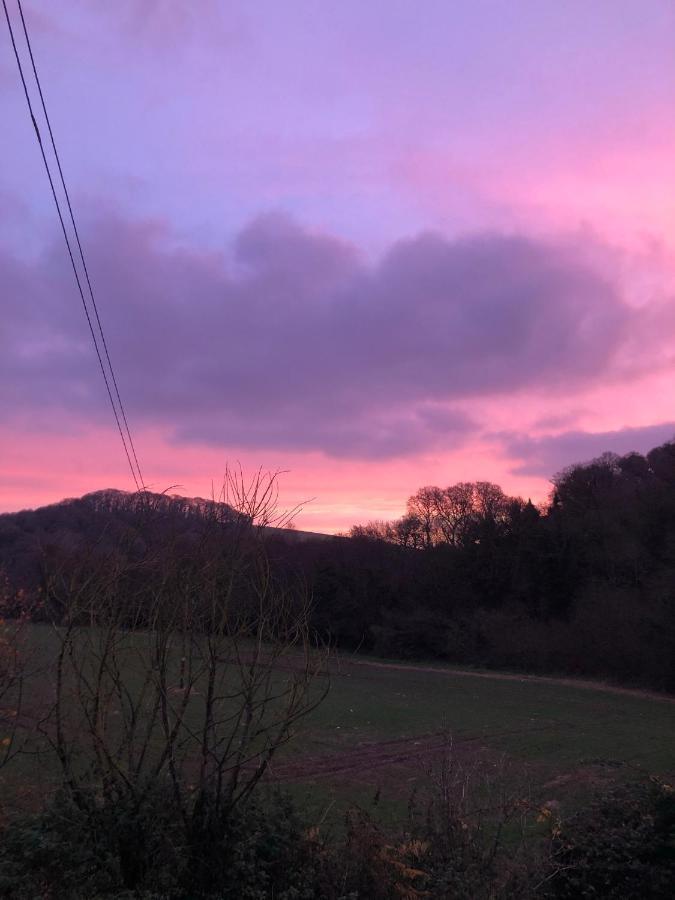 Lower Thornton Farm Exeter Buitenkant foto