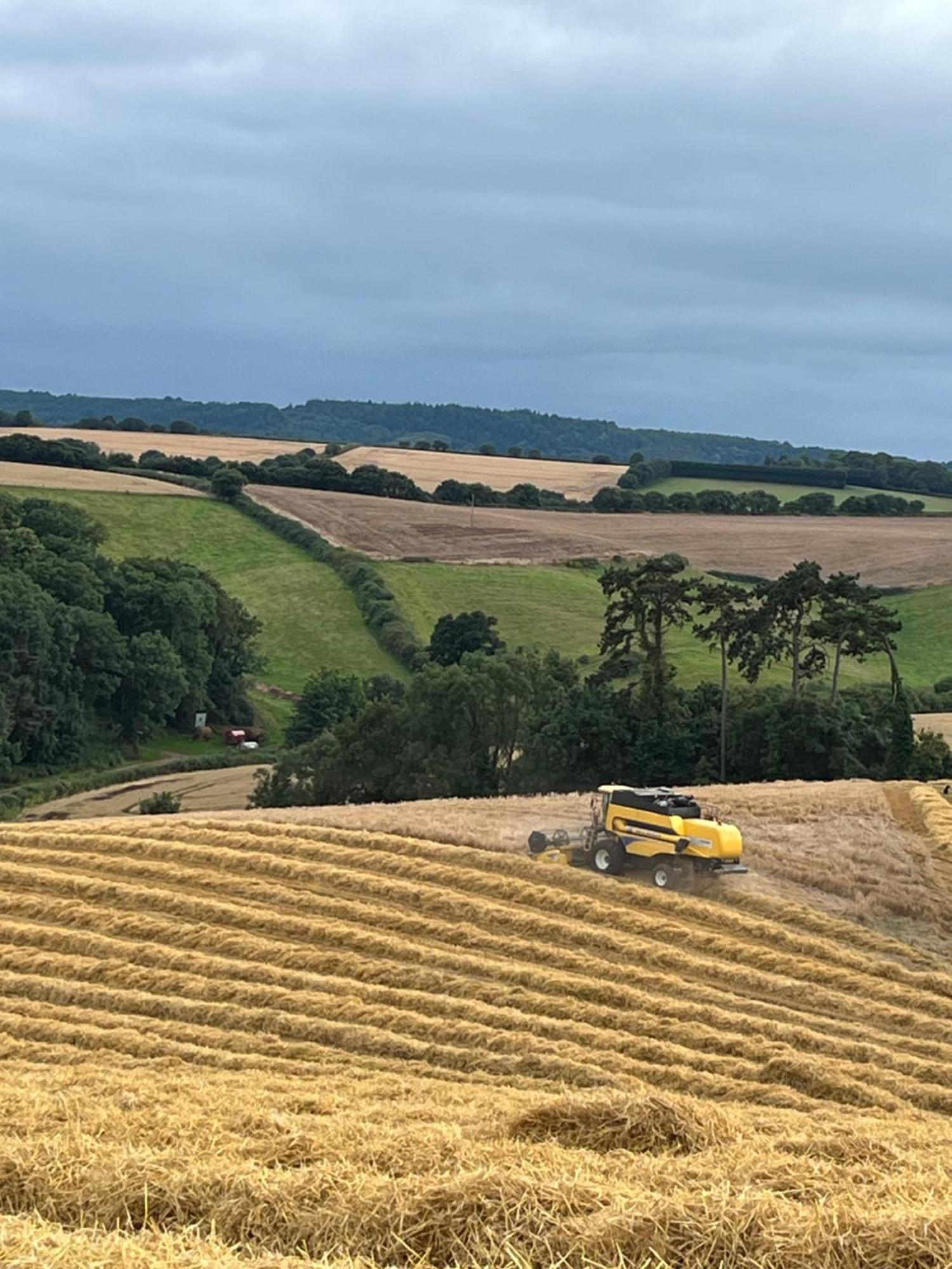 Lower Thornton Farm Exeter Buitenkant foto
